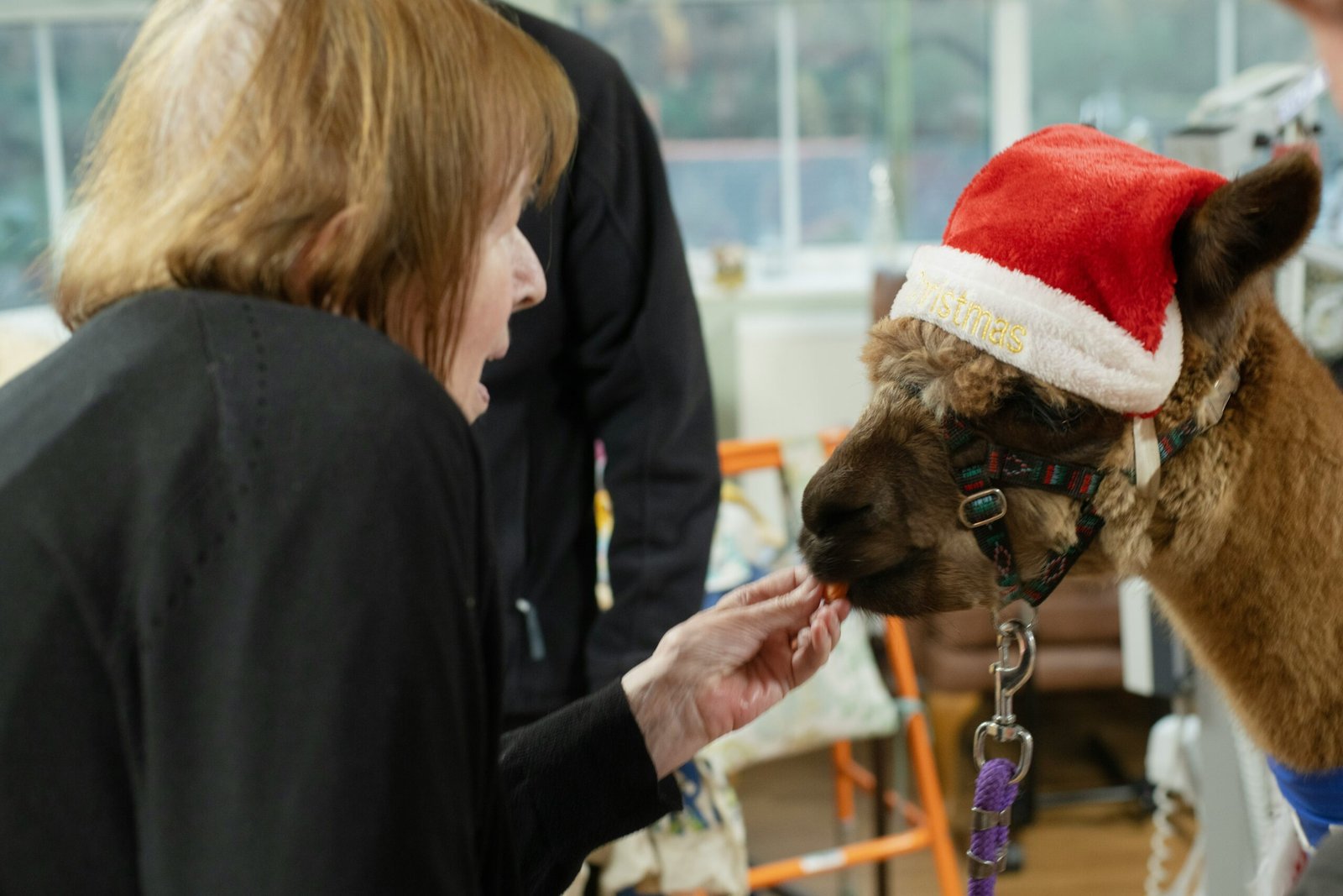 Supporting Our Veterans: Charities Making a Difference